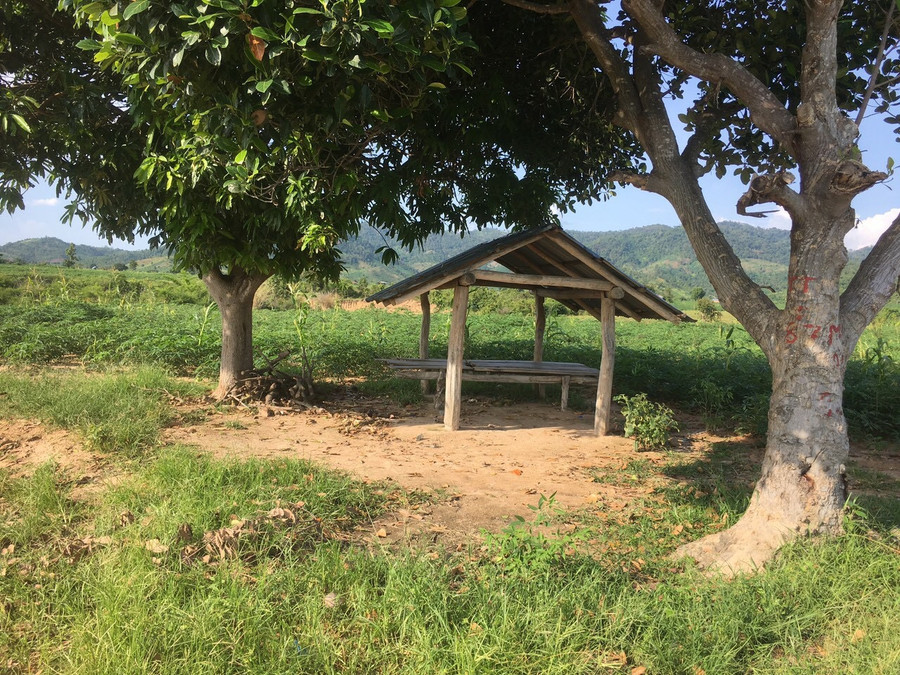 Khu vực chòi rẫy nơi xảy ra vụ việc. Ảnh: Văn Ngọc 