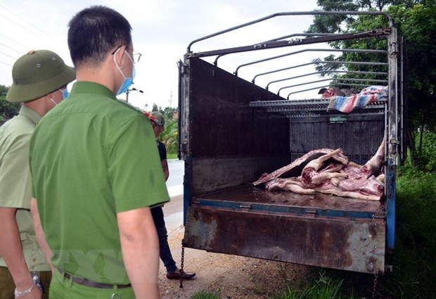 Số thịt lợn mắc bệnh bị bắt giữ. (Ảnh TTXVN phát)