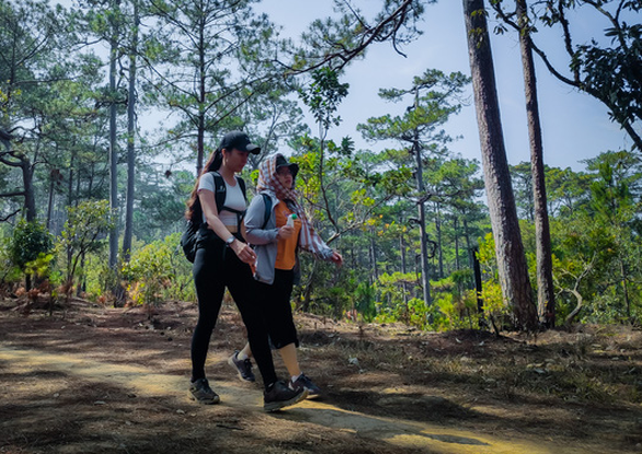 Không dễ dàng để Thư tìm được đến ý niệm làm du lịch bền vững - Ảnh: V.TRÍ