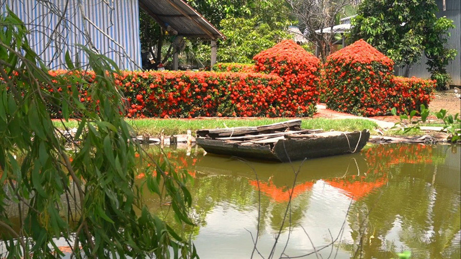Giữa những cánh rừng tràm bạt ngàn nổi tiếng của vùng Miệt Thứ Kiên Giang có một ngôi nhà nổi bật, đủ sức thu hút mọi ánh nhìn của bất kỳ ai có dịp ngang qua.