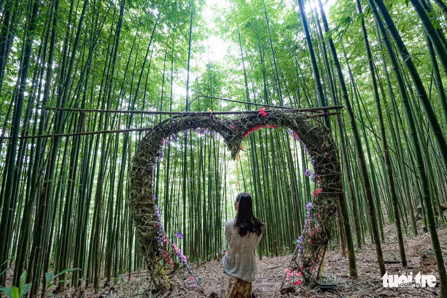 Chủ rừng trúc đã cải tạo một vài địa điểm của khu rừng để thành nơi check in, nghỉ ngơi cho du khách, nhưng cơ bản vẫn giữ nguyên hiện trạng