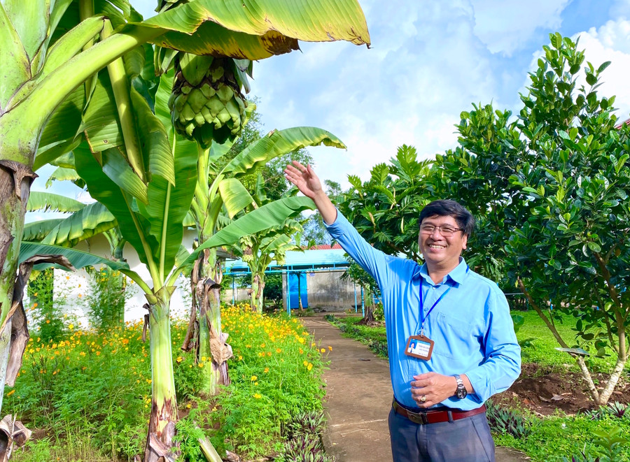 Thầy Trần Bá Công-Hiệu trưởng Trường THPT Phạm Văn Đồng bên một khoảng không gian xanh của trường. Ảnh Mộc Trà