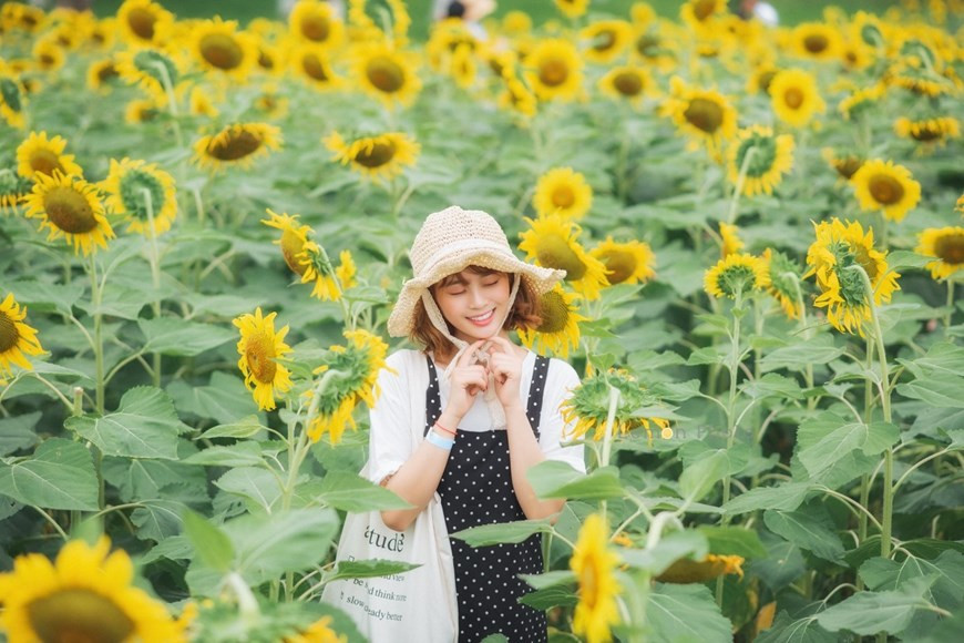 Từ lâu, Ecopark đã được cư dân mạng coi là 'thiên đường sống ảo' ở khu vực Đông Nam Hà Nội, bởi nơi đây ngoài sở hữu hơn 1 triệu cây xanh còn được trồng rất nhiều loài hoa nở quanh năm với tiêu chí 'mùa nào hoa nấy.' Thêm vào đó, Ecopark nằm ngay phía Đông Nam Hà Nội, chỉ cách khu vực Hồ Gươm khoảng 20 phút lái xe. Nhiều người đến đây chụp ảnh mải miết nhiều giờ mà không biết chán.