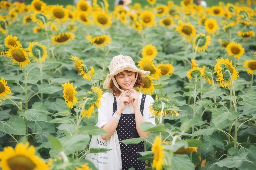 Từ lâu, Ecopark đã được cư dân mạng coi là 'thiên đường sống ảo' ở khu vực Đông Nam Hà Nội, bởi nơi đây ngoài sở hữu hơn 1 triệu cây xanh còn được trồng rất nhiều loài hoa nở quanh năm với tiêu chí 'mùa nào hoa nấy.' Thêm vào đó, Ecopark nằm ngay phía Đông Nam Hà Nội, chỉ cách khu vực Hồ Gươm khoảng 20 phút lái xe. Nhiều người đến đây chụp ảnh mải miết nhiều giờ mà không biết chán.