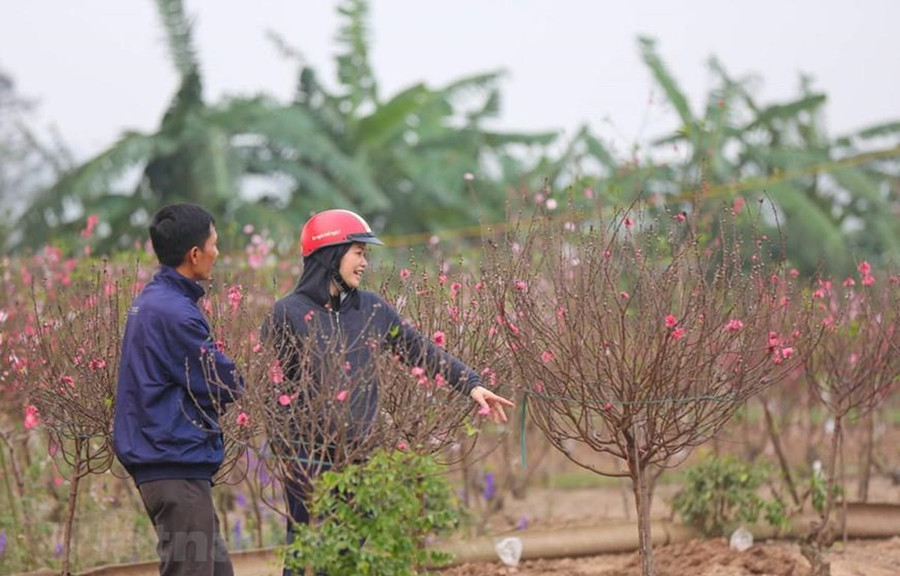 (Ảnh minh hoạ: PV/Vietnam+) (Ảnh minh hoạ: PV/Vietnam+)