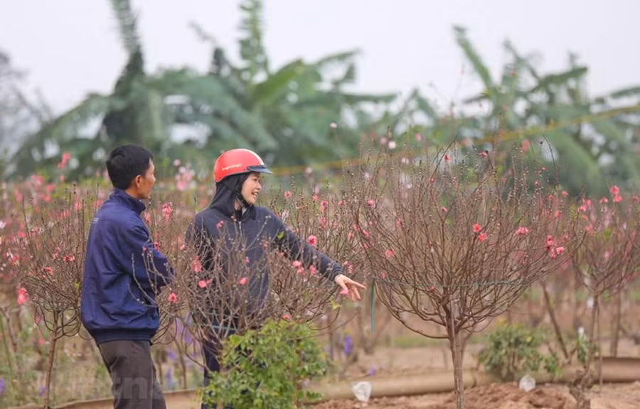 (Ảnh minh hoạ: PV/Vietnam+)