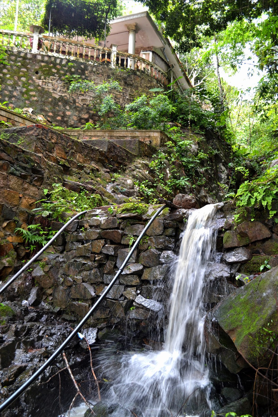 Độ cao cộng với điều kiện địa lý đặc thù của vùng đồng bằng ven biên đã mang lại cho núi Cấm nhiều sự độc lạ. Những cánh rừng nguyên sinh thâm u ngàn đời, đã tích tụ hơi mây, mưa trời tạo cho ngọn núi nhiều hệ thống suối, nước chảy quanh năm.