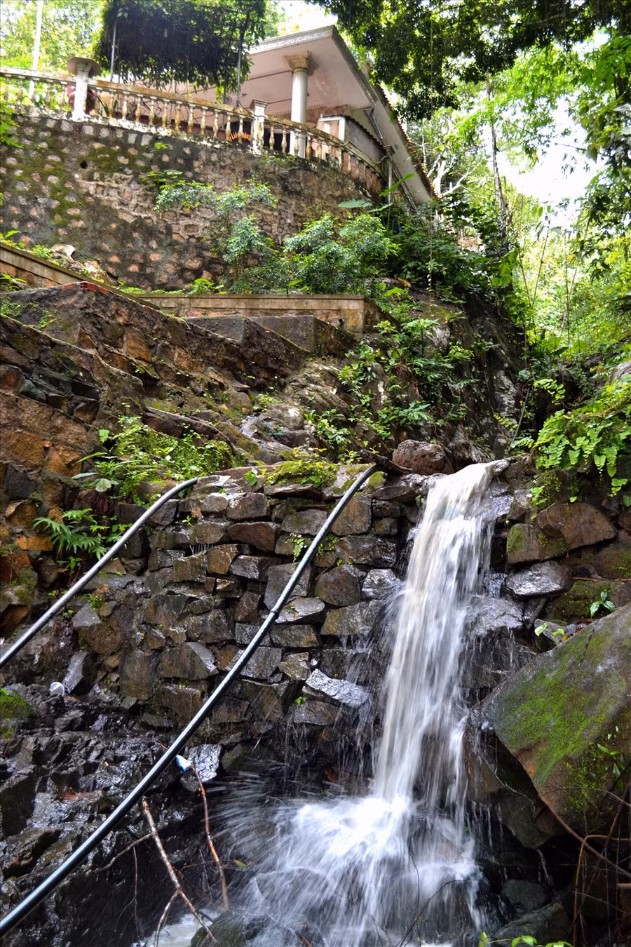 Độ cao cộng với điều kiện địa lý đặc thù của vùng đồng bằng ven biên đã mang lại cho núi Cấm nhiều sự độc lạ. Những cánh rừng nguyên sinh thâm u ngàn đời, đã tích tụ hơi mây, mưa trời tạo cho ngọn núi nhiều hệ thống suối, nước chảy quanh năm.