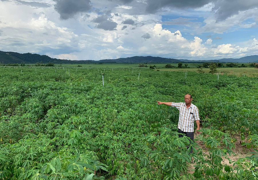  Nhờ sử dụng béc tưới, diện tích mì của nông dân xã Pờ Tó (huyện Ia Pa) đạt năng suất cao. Ảnh: H.T