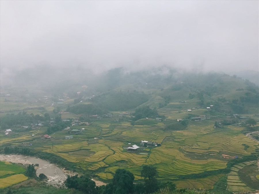 Vẻ đẹp ruộng bậc thang SaPa mùa vàng. Ảnh: Cap Thắng