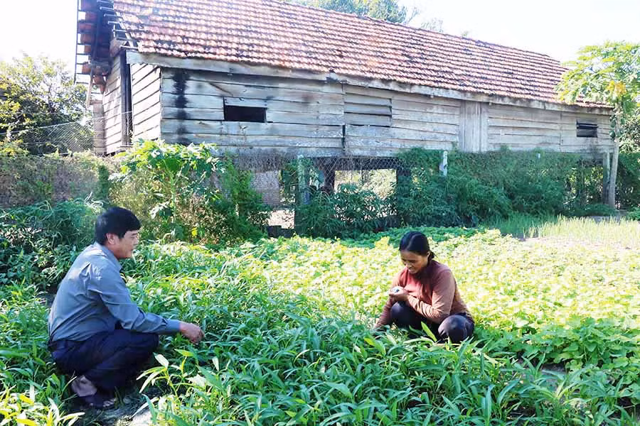 Ảnh: Hồng Thương