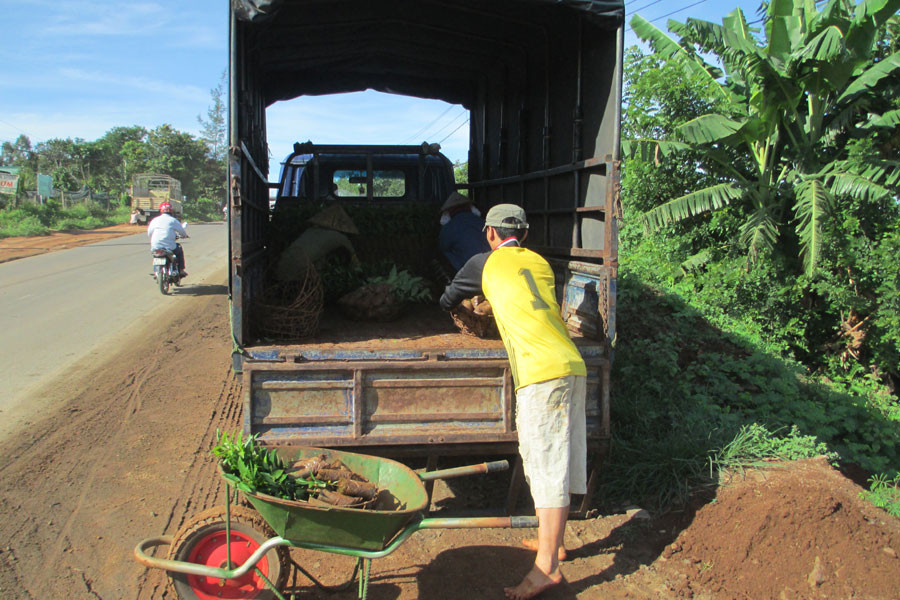 Ảnh: Q.T Ảnh: Q.T