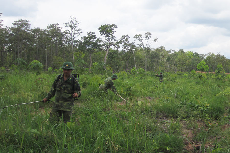 Ảnh: Phương Dung Ảnh: Phương Dung