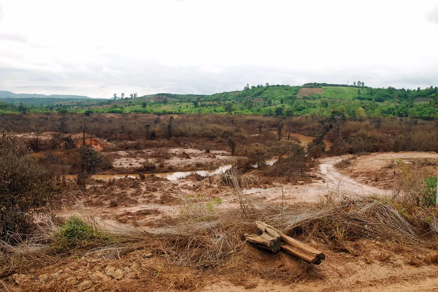 Ảnh: Nguyễn Giác