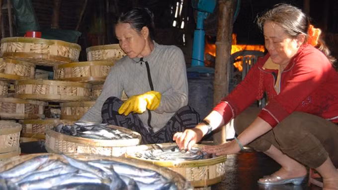 Nghề biển với hàng loạt công việc đã tạo nhiều việc làm, đưa đến sự phát triển cho người dân vùng cuối nguồn Trà Bồng. Trong ảnh: sắp cá nục vừa hấp xong vào rổ đưa vào kho đông chờ chuyển đi bán.