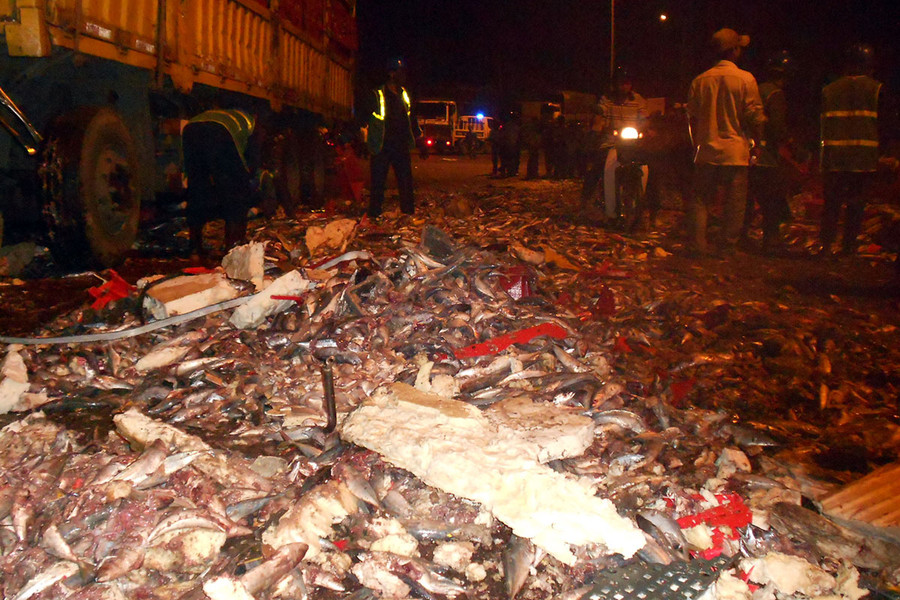 Cá trên xe đông lạnh đổ đầy mặt đường. Ảnh: Nguyễn Xuân