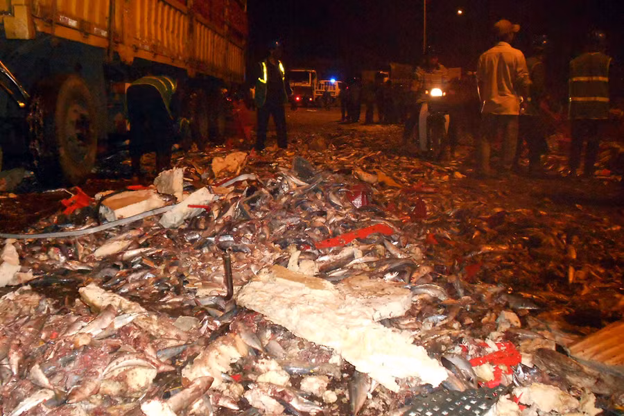 Cá trên xe đông lạnh đổ đầy mặt đường. Ảnh: Nguyễn Xuân