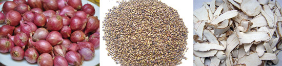 Hành ta - Thảo quyết minh - Bạch chỉ.