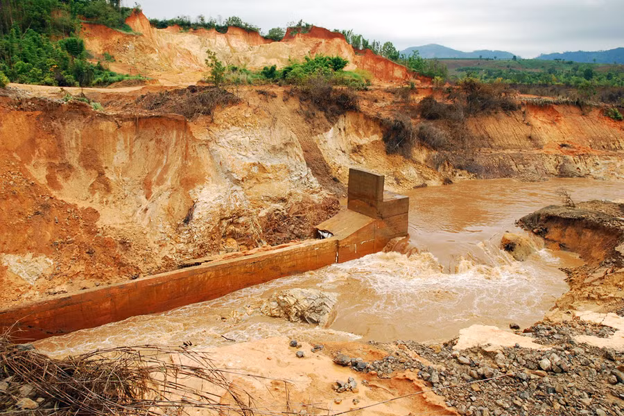 Ảnh: Nguyễn Giác