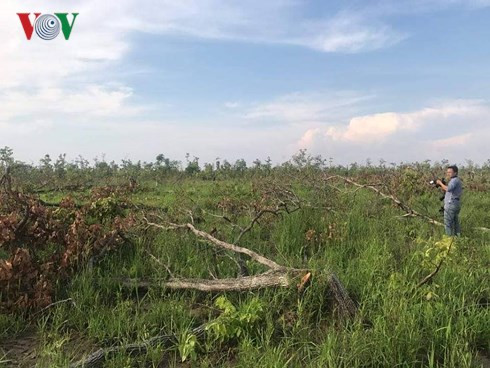 Rừng ở xã Ea Bung bước vào mùa làm ăn của địa tặc.