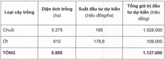 HAGL Agrico tiếp tục điều chỉnh diện tích trồng cây ăn trái, tăng diện tích trồng chuối lên 5.275 ha, tương ứng vốn dự kiến 1.028 tỷ đồng.
