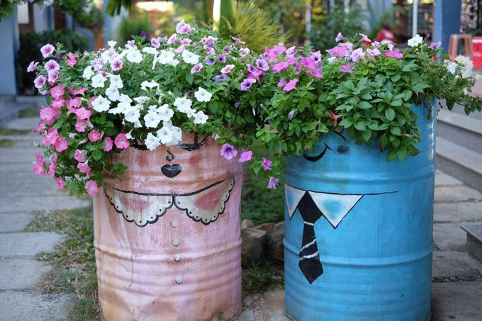 Dạ yến thảo không nở rực rỡ, nổi bật mà hoa chen với lá xanh, rất bình dị, gần gũi. Một số chậu hoa ở Yours được tái chế từ thùng sơn cũ, khoác lên chiếc áo hoạt hình trông đáng yêu. 