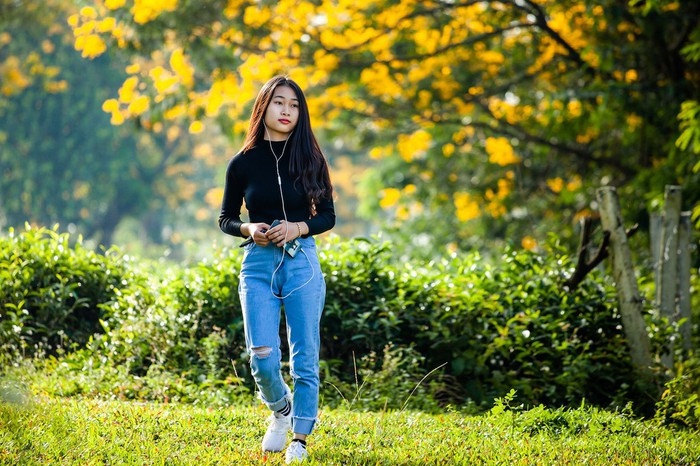 Thiếu nữ bước đi giữa mùa hoa muồng vàng tại Bàu Cạn, Gia Lai