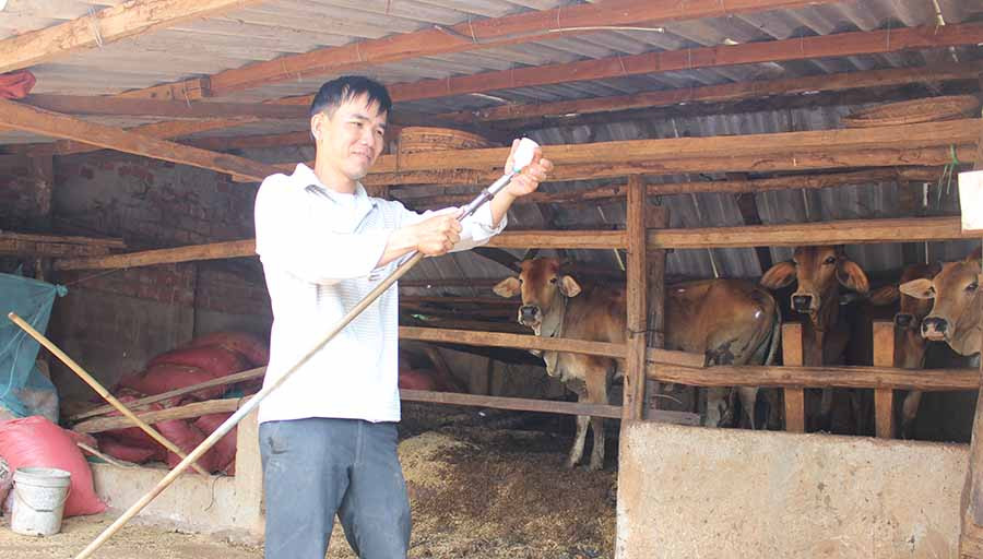 Lực lượng thú y huyện Ia Grai tiêm phòng cho đàn gia súc. Ảnh; Nguyễn Diệp