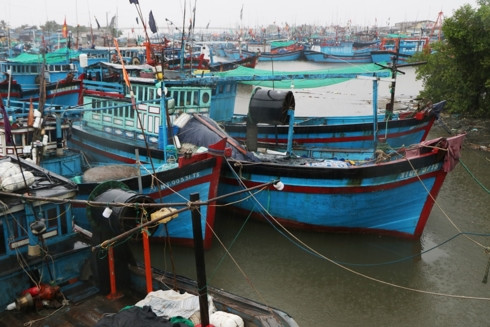 Tàu thuyền neo đậu trong cảng Cà Ná, tỉnh Ninh Thuận