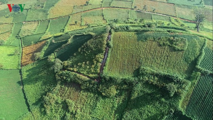  Chinh phục Chư Đăng Ya, ngắm nhìn hoa dã quỳ và cảnh quan xung quanh là một trải nghiệm thú vị.