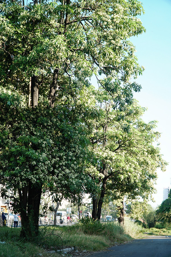 Uyển Vi, hiện đang sống ở quận 7, cho hay cô ngày nào cũng đi ngang đoạn đường này để về nhà. 