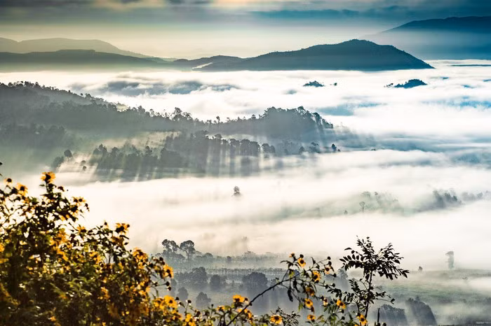  Quang cảnh Chư Đăng Ya đẹp mê ly vào mùa hoa dã quỳ