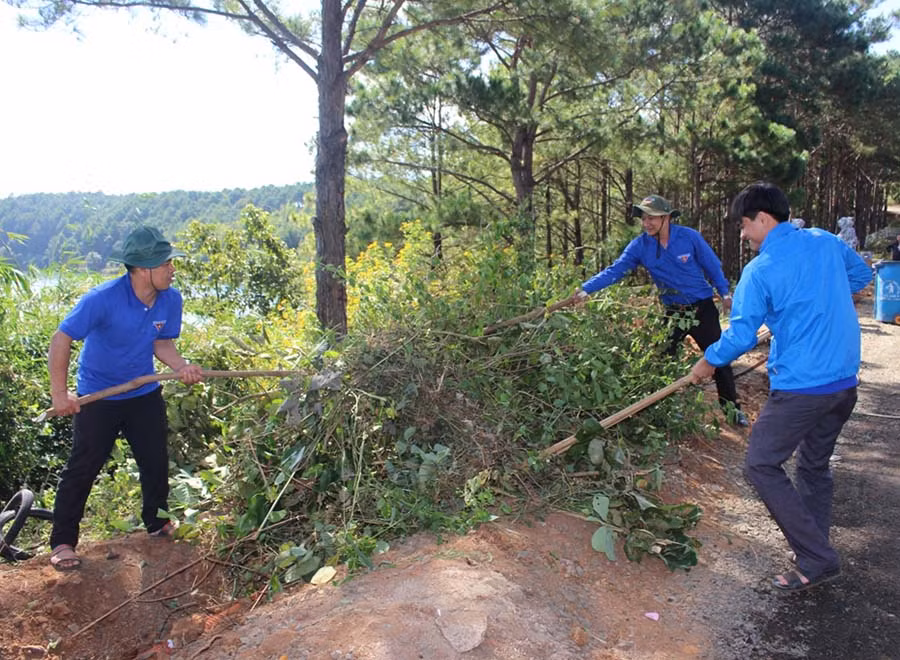  Đoàn viên thanh niên Thành Đoàn Pleiku dọn dẹp khu vực lâm viên Biển Hồ. Ảnh: Phan Lài