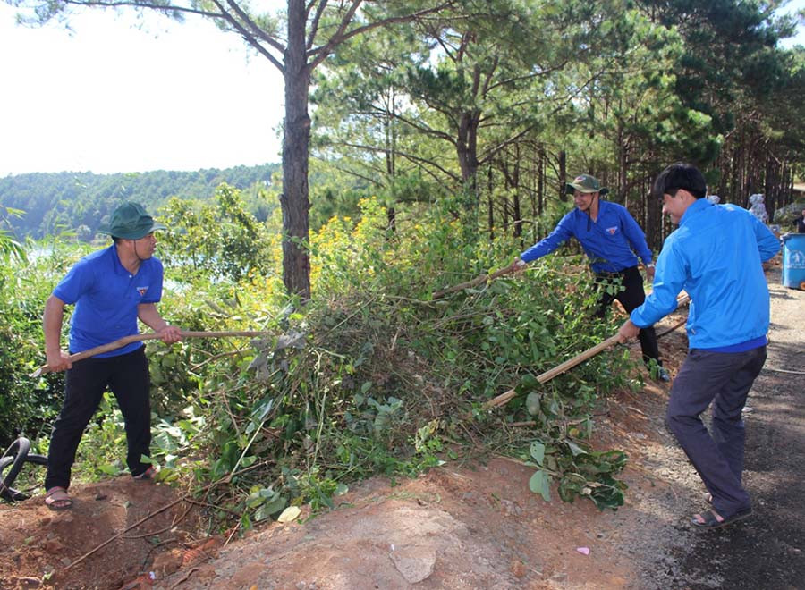  Đoàn viên thanh niên Thành Đoàn Pleiku dọn dẹp khu vực lâm viên Biển Hồ. Ảnh: Phan Lài