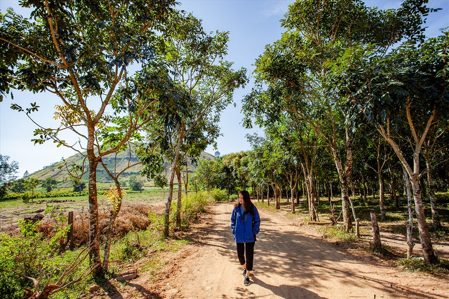 Từ tàn tích tháp chuông của ngôi nhà thờ cổ, ta có thể chiêm ngưỡng trọn vẹn vẻ đẹp của núi Chư Đang Ya - một miệng núi lửa đã ngừng hoạt động hàng triệu năm trước đang vào mùa dã quỳ nở rộ. Ảnh: Chu Thế Dũng Từ tàn tích tháp chuông của ngôi nhà thờ cổ, ta có thể chiêm ngưỡng trọn vẹn vẻ đẹp của núi Chư Đang Ya - một miệng núi lửa đã ngừng hoạt động hàng triệu năm trước đang vào mùa dã quỳ nở rộ. Ảnh: Chu Thế Dũng