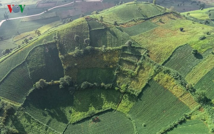 Những mảnh ghép sắc màu đầy ấn tượng của Chư Đăng Ya những ngày cuối thu, đầu đông.