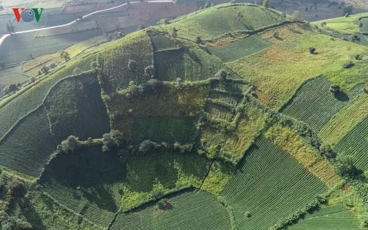 Những mảnh ghép sắc màu đầy ấn tượng của Chư Đăng Ya những ngày cuối thu, đầu đông.