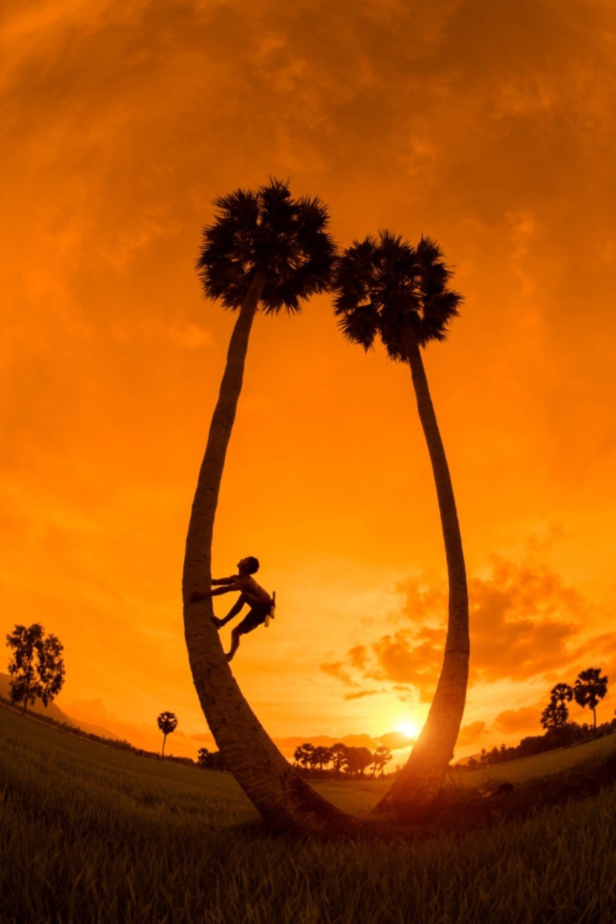 Ban tổ chức nhận được 194 tác phẩm dự thi ở hạng mục Ảnh bộ và 532 tác phẩm tham dự ở hạng mục Ảnh bìa. 'Con kiến leo cây' (tác giả Nguyễn Ngọc Hòa) là một trong những tác phẩm gây ấn tượng mạnh với người xem. (Nguồn ảnh: BTC)