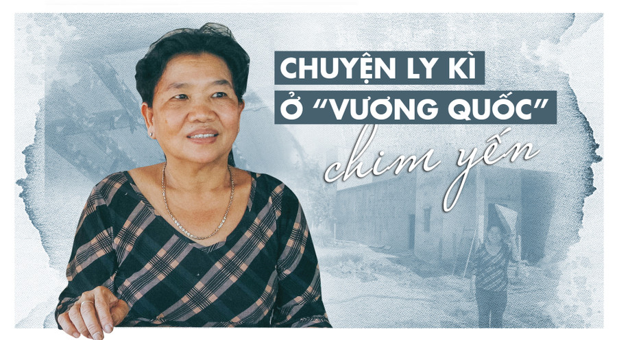 Chuyện ly kì ở "Vương quốc" chim yến ảnh 1