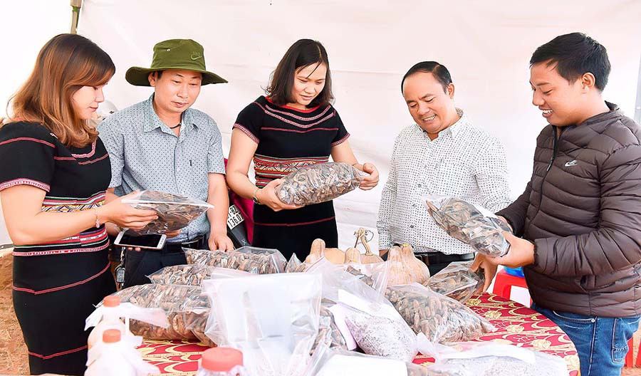 Các sản phẩm nông sản trên địa bàn huyện Đak Đoa được trưng bày tại Tuần lễ cỏ hồng và Hội chợ nông sản an toàn. Ảnh: Đ.T