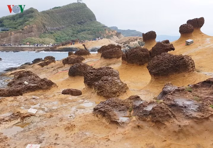 Bãi đá hình nấm.