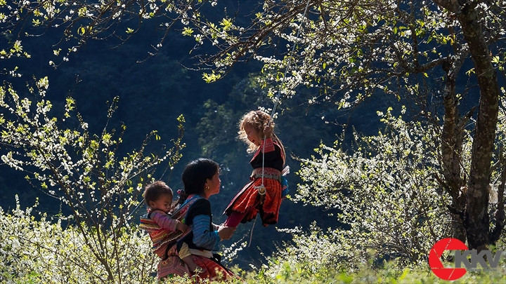 Tác phẩm “Mùa xuân của mẹ” của tác giả Hoàng Thị Bích Hiệp, dự thi Giải ảnh báo chí Khoảnh Khắc Vàng 05.  Tác phẩm “Mùa xuân của mẹ” của tác giả Hoàng Thị Bích Hiệp, dự thi Giải ảnh báo chí Khoảnh Khắc Vàng 05.