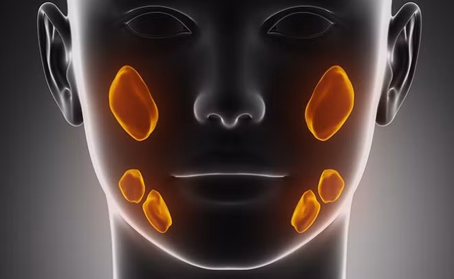 Ảnh minh họa: Prevention