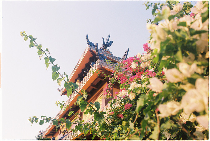 Chùa nằm trên diện tích hơn 500 m2, cao gần 50 m, được bao quanh bởi những nương chè.