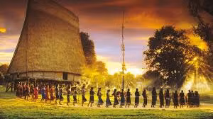 Ảnh nguồn internet