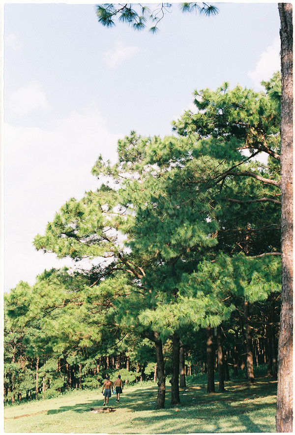 Một trải nghiệm thú vị khác là lang thang trên những con đường mòn nhỏ xung quanh, nơi có hàng thông nối dài xanh mướt mắt.