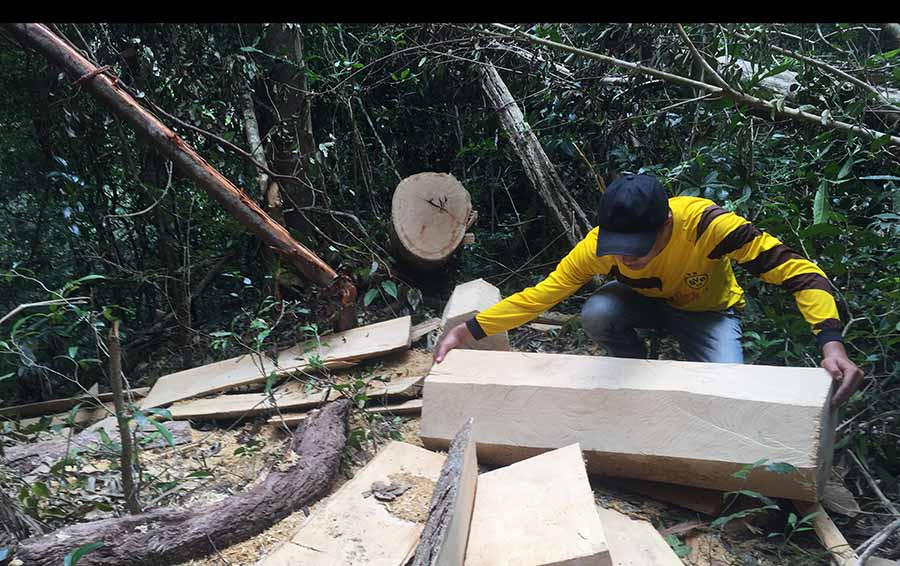 Rừng tại xã Kon Chiêng, huyện Mang Yang đã bị tàn phá trong thời gian qua. Ảnh: Văn Ngọc