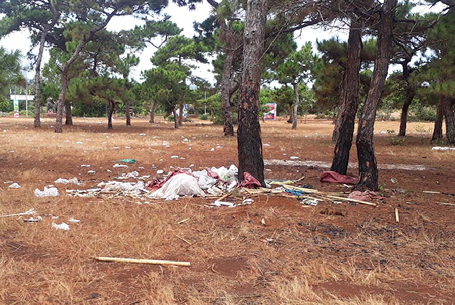 Ảnh: Triệu Thanh