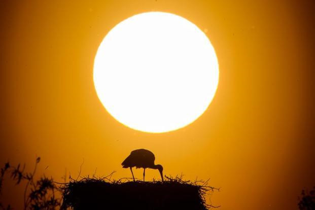 Mặt trời được cho là đã tiếp năng lượng cho vật thể nghi là tàu vũ trụ của người ngoài hành tinh bay qua Trái đất hồi cuối năm ngoái. Ảnh: Livemint.  Mặt trời được cho là đã tiếp năng lượng cho vật thể nghi là tàu vũ trụ của người ngoài hành tinh bay qua Trái đất hồi cuối năm ngoái. Ảnh: Livemint.