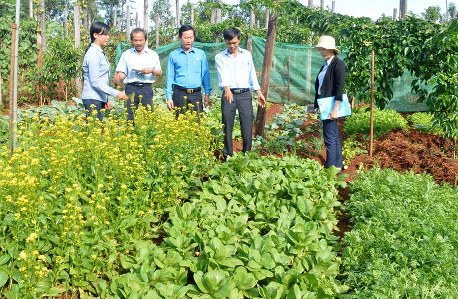  Công đoàn Công ty chấm điểm vườn rau sạch gia đình công nhân Nguyễn Thị Thanh. Ảnh: đ.y
